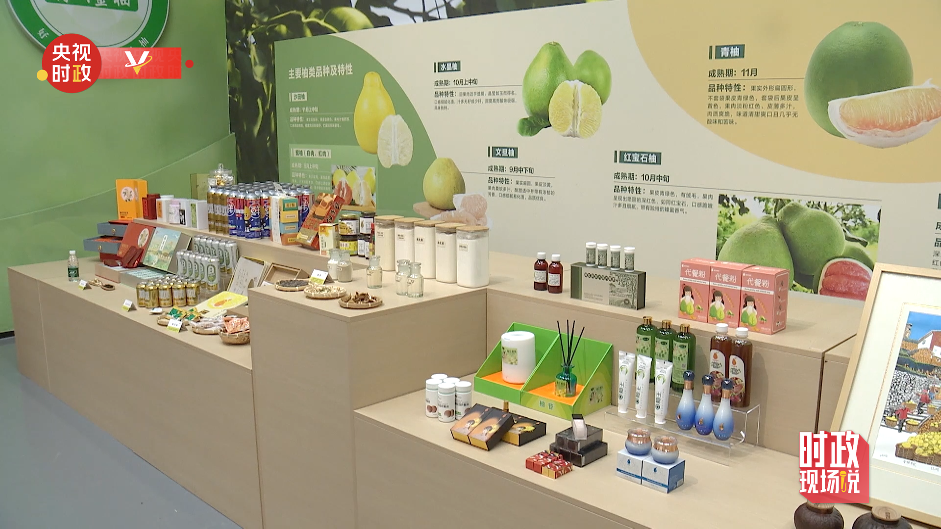 时政现场说丨金柚满枝头 产业甜万家
