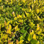 子女长大后为什么不心疼你？或许从你对他做这件事开始，就错了