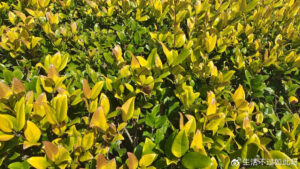 子女长大后为什么不心疼你？或许从你对他做这件事开始，就错了