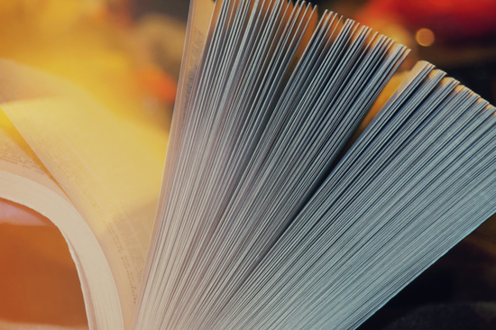 公安部新闻发言人就中美禁毒合作答记者问