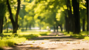 原创|不管房子有多大，家里以下3个地方要“满”，才有福气