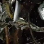 一架医疗专机在印度贾坎德邦坠毁 机上载有7人