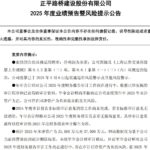 预计去年末净资产为正，年审会计师却说“不能确定”！*ST正平收上交所监管工作函，能否躲过退市劫？