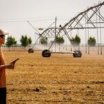 大学排名攀升，“这是中国30年持续、有针对性投资的结果”