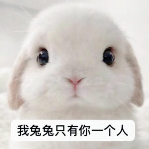 网友发布'今天没有想我嘛'表情包引热议