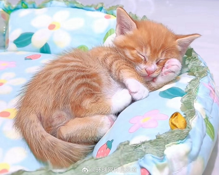 午睡效果因人而异，越睡越清醒或混沌