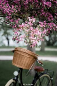 人生无法倒序，珍惜眼前人，做好眼前事