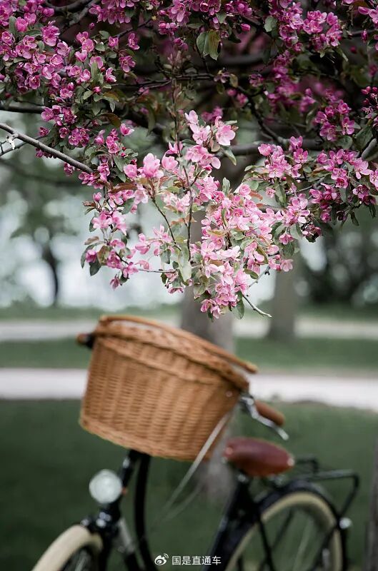 人生无法倒序，珍惜眼前人，做好眼前事