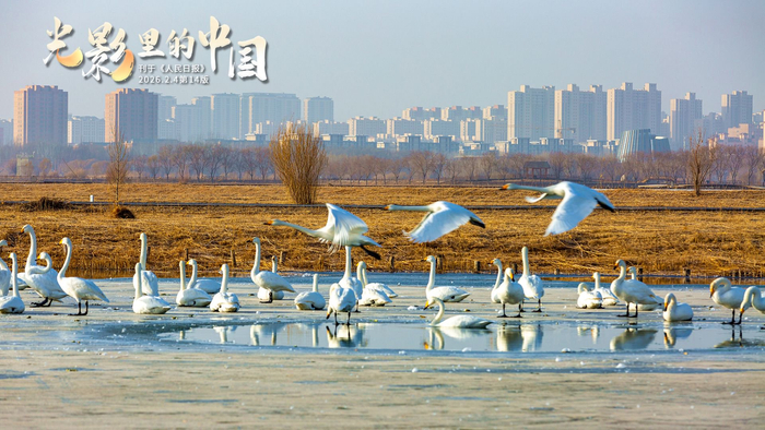 情绪稳定从接纳开始，读懂信号实现自由